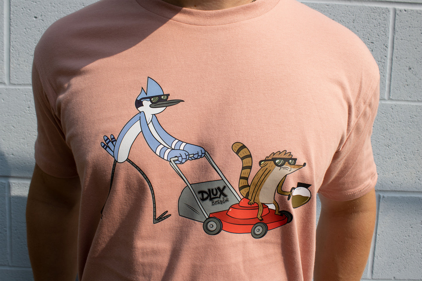 Regular Show Desert Pink Tee